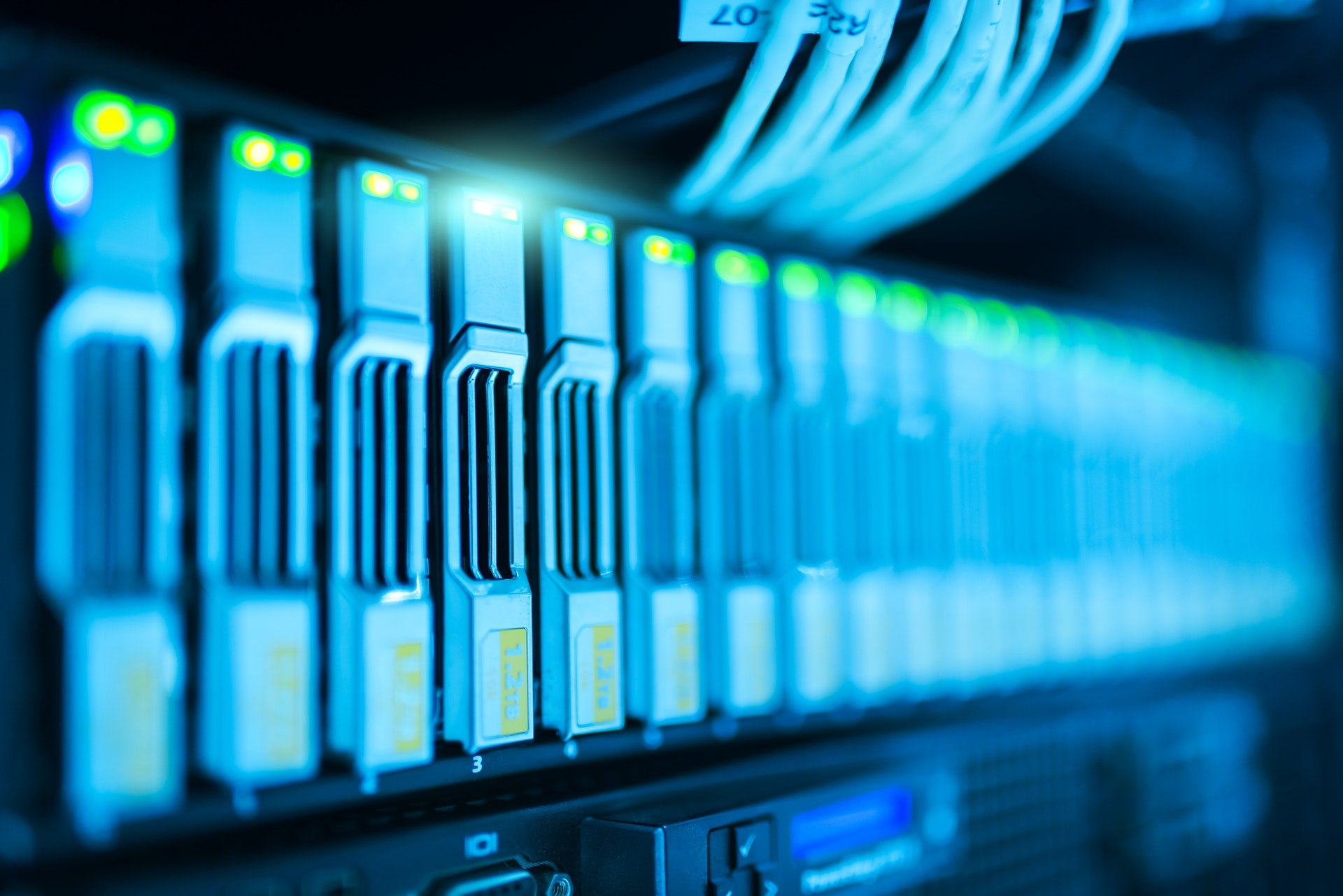 Big Data i SEO – co mają ze sobą wspólnego